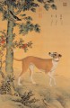 Lang shining yellow dog old China ink Giuseppe Castiglione dog